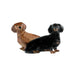 Dachshund Friends Salt & Pepper Shakers