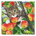 Cat in the Apple Tree Paper Luncheon Napkins