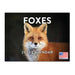 2025 Red Fox Wall Calendar