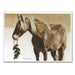 Holly Delight Equestrian Holiday Cards