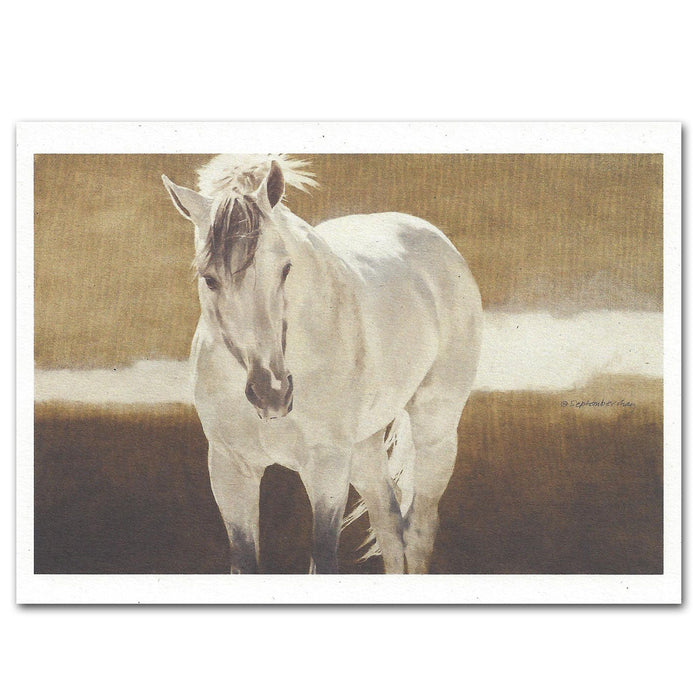 Dream Walker Grey Horse Note Cards