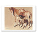 Rosebud's Delight Foal Note Cards