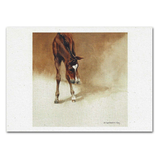 Visions' Bright Foal Note Cards