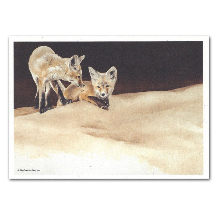 Sunday's Play Fox Kits Note Cards