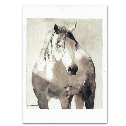 Dapple Grey Horse Note Cards