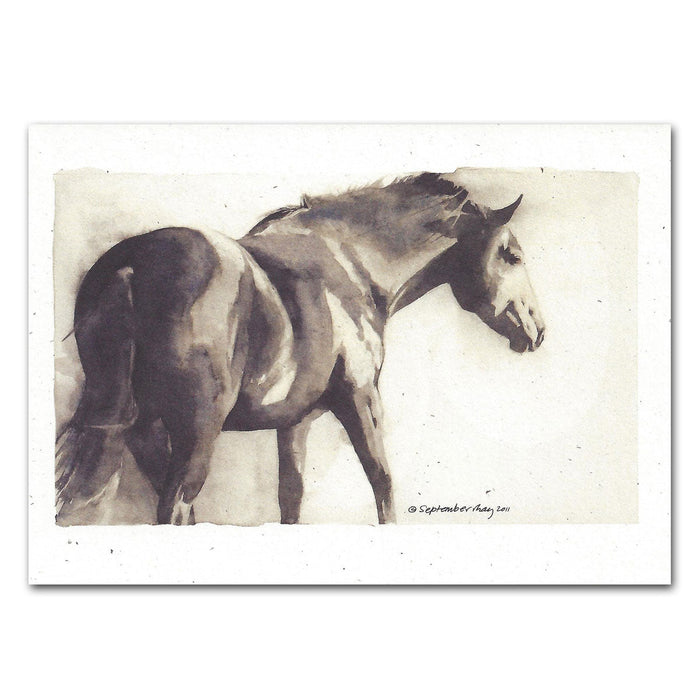 Figaro Equestrian Note Cards