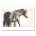 Figaro Equestrian Note Cards