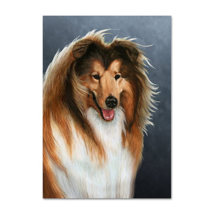 Collie Dog Note Card by Tamara Burnett