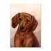 Red Dachshund Dog Note Card by Tamara Burnett