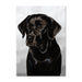 Black Labrador Retriever Dog Note Card by Tamara Burnett