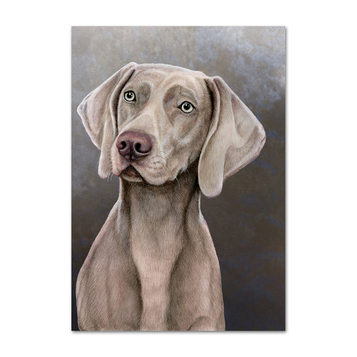 Weimaraner Dog Note Card by Tamara Burnett