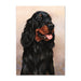 Gordon Setter Dog Note Card by Tamara Burnett