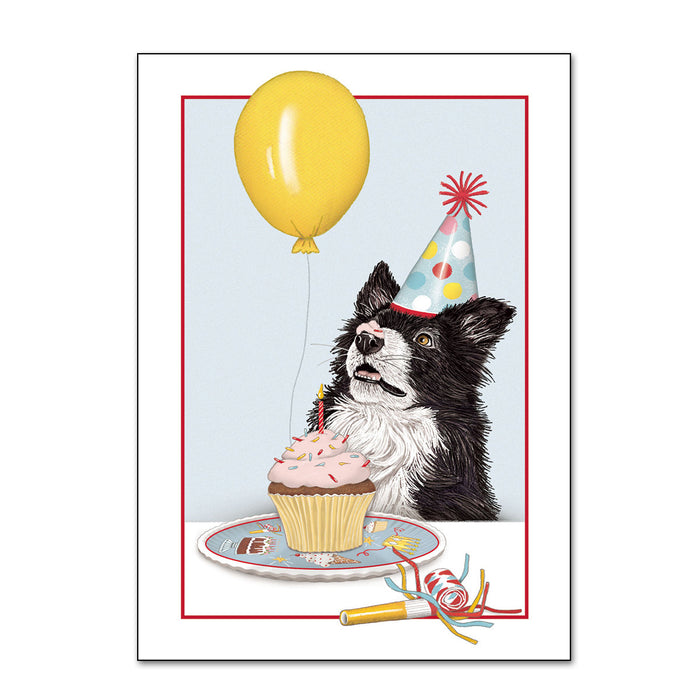 Party Border Collie Birthday Card