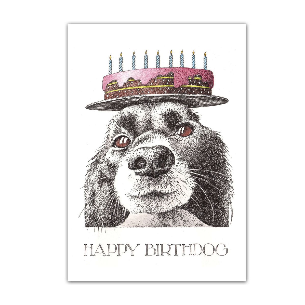 Party Spaniel Birthday Card — Horse and Hound Gallery