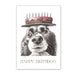 Party Spaniel Birthday Card