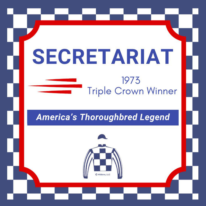 Secretariat Enameled Pendant - Small by Jane Heart