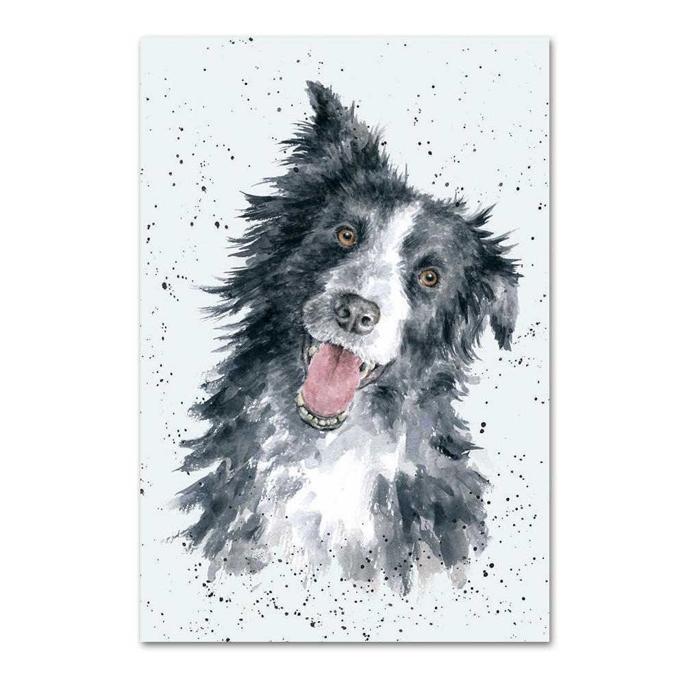 Border Collie Note Card by Wrendale — Horse and Hound Gallery